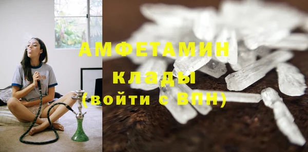 стаф Ленск
