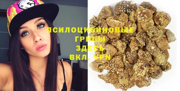 мет Нягань