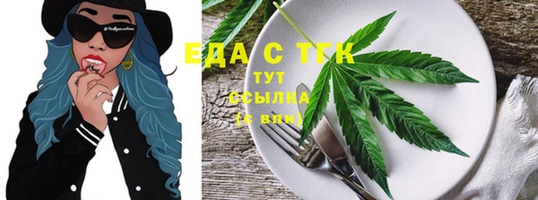 индика Ленинск