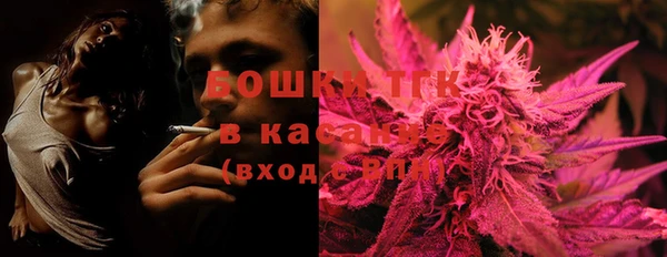 индика Ленинск