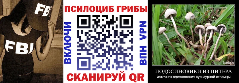 Псилоцибиновые грибы GOLDEN TEACHER  Мелеуз 